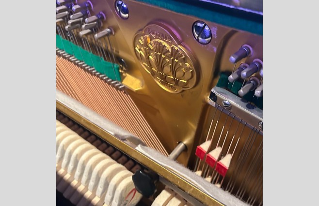 Used Daewoo Royale Polished Ebony DW7 Upright Piano - All Inclusive Premium Package (SN:072967) - Image 7